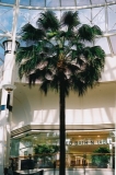 th_image1